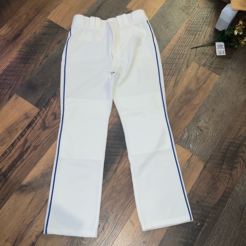 Mizuno Baseball Pants​​​​